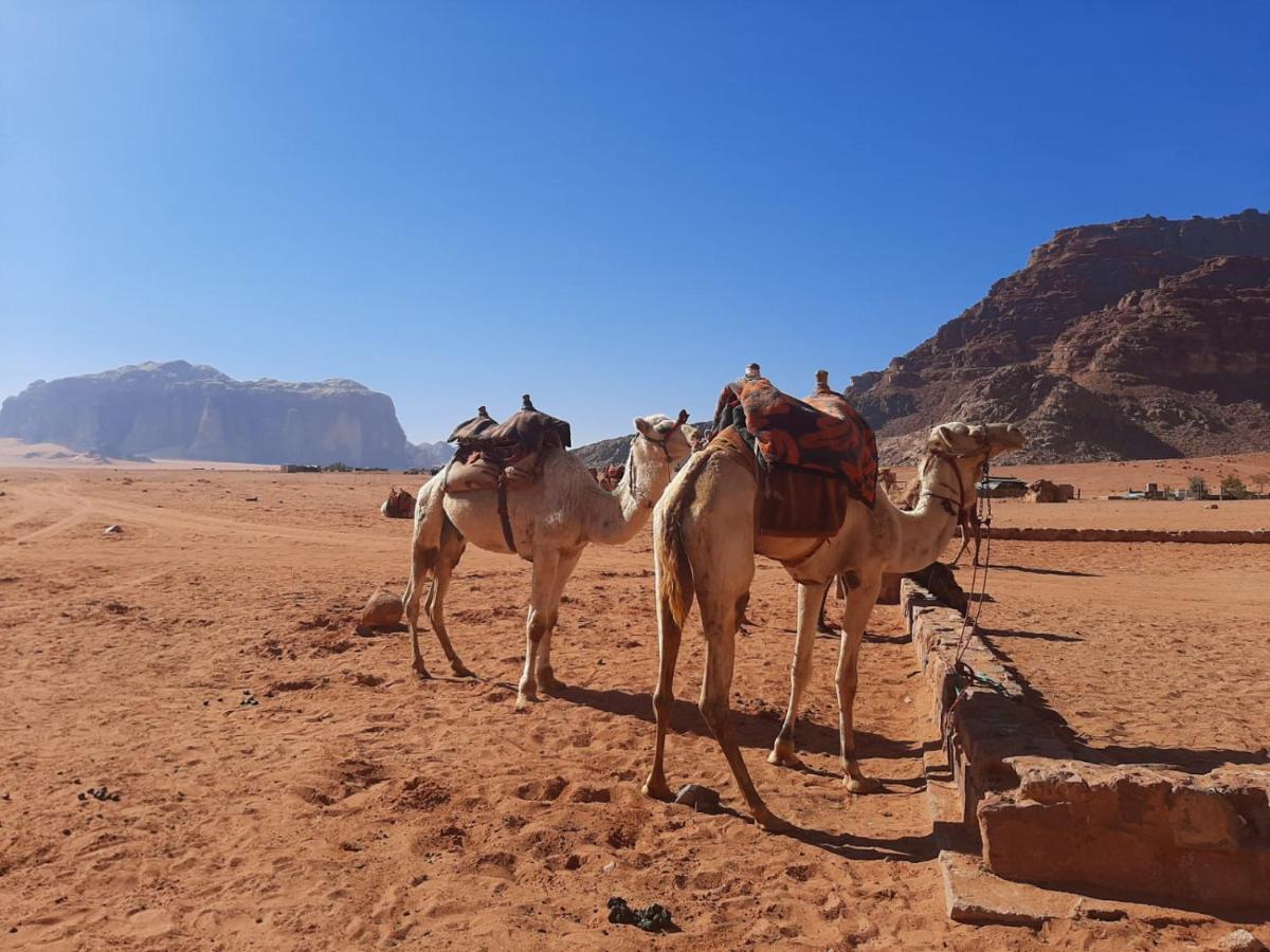 Wadi Rum Secrets Camp Extérieur photo